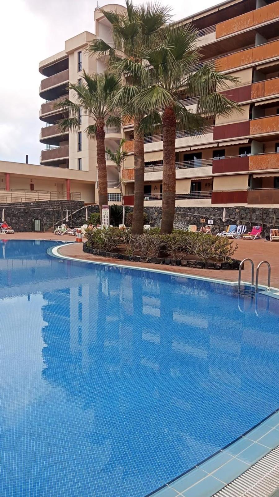 Vistas De Los Gigantes Apartamento 2 Dormitorios Puerto de Santiago  Buitenkant foto